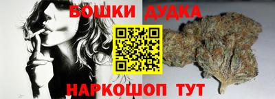 прущие грибы Краснодар