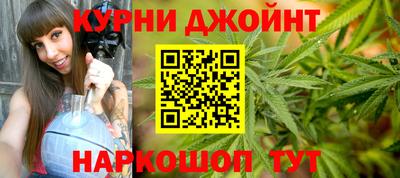 прущие грибы Краснодар